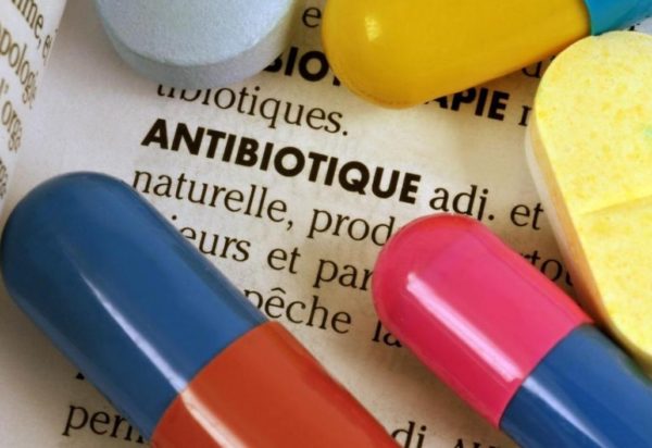 Comment agissent les antibiotiques ?