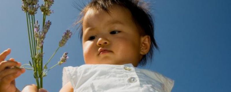 L’usage des huiles essentielles sur les nourrissons