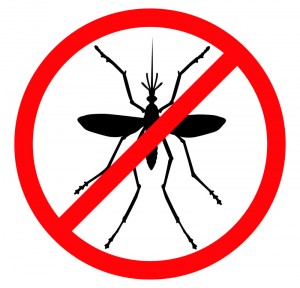 Mosquito vector silhouette. Insect reppelent emblem .